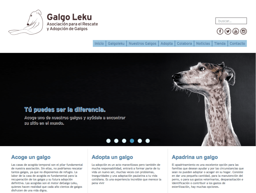 galgo leku 2
